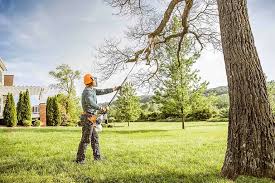 Best Utility Line Clearance  in Oceano, CA